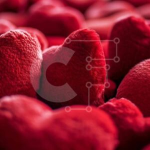 Intra Συλλεκτικό Ξύλινο Παζλ Plywood  4mm - Λούτρινα κόκκινα μαξιλάρια σε σχήμα καρδιάς Σε Ξύλινο Κουτί - Διαστάσεις Puzzle: 10x10 cm – 25 κομμάτια