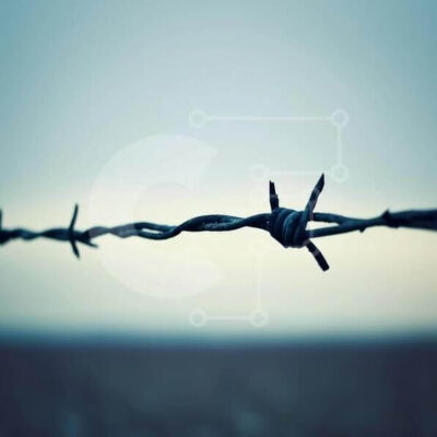 Intra Συλλεκτικό Ξύλινο Παζλ Plywood 4mm - Κοντινό πλάνο από συρματοπλέγματα με μαλακό φόντο Σε Ξύλινο Κουτί - Διαστάσεις Puzzle: 10x10 cm – 25 κομμάτια - Image 1