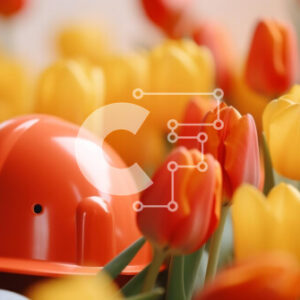 Intra Συλλεκτικό Ξύλινο Παζλ Plywood  4mm - Πορτοκαλί σκληρό καπέλο στο πεδίο τουλιπών Σε Ξύλινο Κουτί - Διαστάσεις: 10x10 cm – 25 κομμάτια