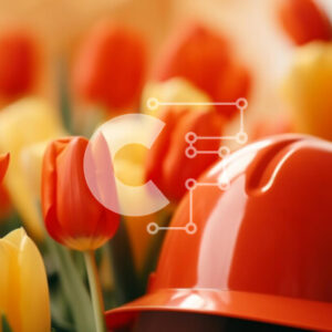 Intra Συλλεκτικό Ξύλινο Παζλ Plywood  4mm - Πορτοκαλί σκληρό καπέλο στο πεδίο τουλιπών Σε Ξύλινο Κουτί - Διαστάσεις: 10x10 cm – 25 κομμάτια