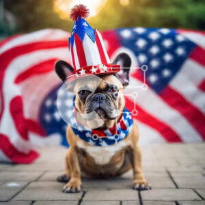 Intra Συλλεκτικό Ξύλινο Παζλ Plywood  4mm - Πατριωτικό σκυλί που γιορτάζει την 4η Ιουλίου με αμερικανική σημαία Σε Ξύλινο Κουτί - Διαστάσεις: 10x10 cm – 25 κομμάτια