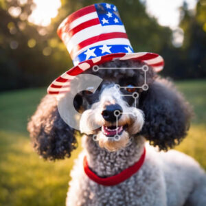 Intra Συλλεκτικό Ξύλινο Παζλ Plywood  4mm - Πατριωτικό κανίς με καπέλο αμερικανικής σημαίας Σε Ξύλινο Κουτί - Διαστάσεις: 10x10 cm – 25 κομμάτια