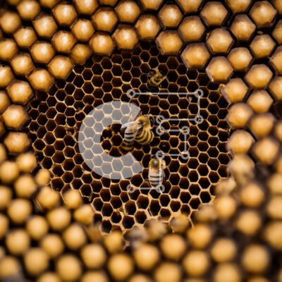 Intra Συλλεκτικό Ξύλινο Παζλ Plywood  4mm - Μέλισσες Φωλιάζουν στην Κηρήθρα Σε Ξύλινο Κουτί - Διαστάσεις: 10x10 cm – 25 κομμάτια - Image 1