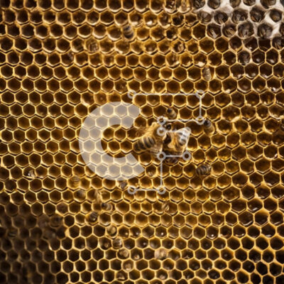 Intra Συλλεκτικό Ξύλινο Παζλ Plywood 4mm - Μέλισσες στην κηρήθρα Σε Ξύλινο Κουτί - Διαστάσεις: 10x10 cm – 25 κομμάτια - Image 1