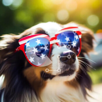 Intra Συλλεκτικό Ξύλινο Παζλ Plywood  4mm - Αμερικανική σημαία γυαλιά ηλίου για τους εορτασμούς της 4ης Ιουλίου Σε Ξύλινο Κουτί - Διαστάσεις: 10x10 cm – 25 κομμάτια - Image 1