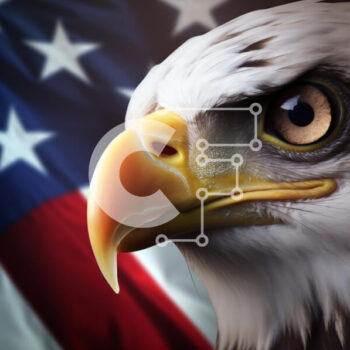 Intra Συλλεκτικό Ξύλινο Παζλ Plywood  4mm - Αετός μπροστά από την αμερικανική σημαία Σε Ξύλινο Κουτί - Διαστάσεις: 10x10 cm – 25 κομμάτια - Image 1