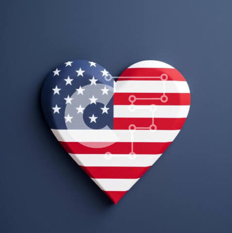 Intra Συλλεκτικό Ξύλινο Παζλ Plywood  4mm - Αμερικανική σημαία σε σχήμα καρδιάς για πατριωτικούς εορτασμούς Σε Ξύλινο Κουτί - Διαστάσεις Puzzle: 10x10 cm – 25 κομμάτια - Image 1