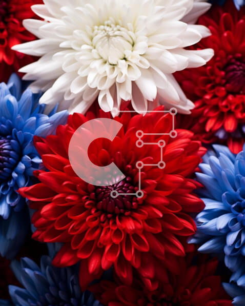 Intra Συλλεκτικό Ξύλινο Παζλ Plywood  4mm - Κόκκινα, λευκά και μπλε λουλούδια για τις γιορτές Σε Ξύλινο Κουτί - Διαστάσεις: 10x10 cm – 25 κομμάτια