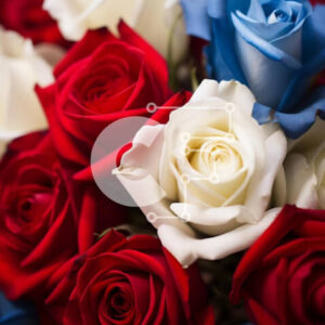 Intra Συλλεκτικό Ξύλινο Παζλ Plywood  4mm - Αμερικανική σημαία από τριαντάφυλλα - εορτασμός ημέρας ανεξαρτησίας Σε Ξύλινο Κουτί - Διαστάσεις: 10x10 cm – 25 κομμάτια