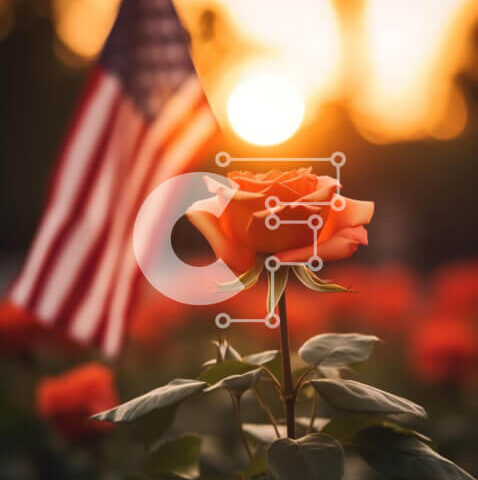 Intra Συλλεκτικό Ξύλινο Παζλ Plywood  4mm - Εορτασμός 4ης Ιουλίου με κόκκινο τριαντάφυλλο και αμερικανική σημαία Σε Ξύλινο Κουτί - Διαστάσεις: 10x10 cm – 25 κομμάτια - Image 1