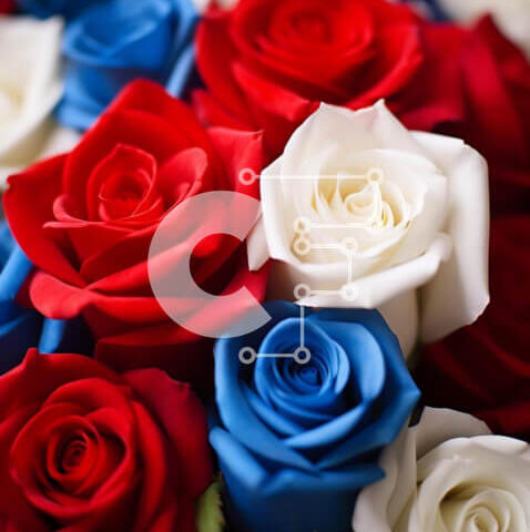 Intra Συλλεκτικό Ξύλινο Παζλ Plywood 4mm - Μπουκέτο αμερικανικής σημαίας με κόκκινα, λευκά και μπλε τριαντάφυλλα Σε Ξύλινο Κουτί - Διαστάσεις: 10x10 cm – 25 κομμάτια - Image 1