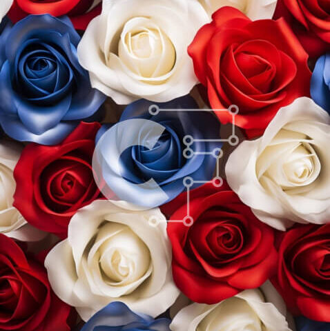 Intra Συλλεκτικό Ξύλινο Παζλ Plywood 4mm - Πατριωτικό μπουκέτο λουλουδιών σε χρώματα σημαίας Ηνωμένων Πολιτειών Σε Ξύλινο Κουτί - Διαστάσεις: 10x10 cm – 25 κομμάτια - Image 1