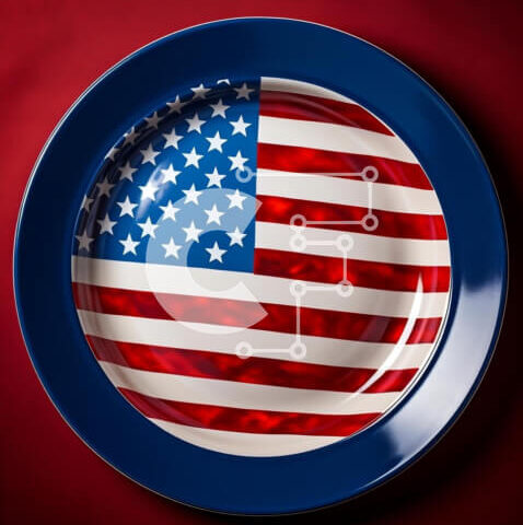 Intra Συλλεκτικό Ξύλινο Παζλ Plywood 4mm - Μπλε πιάτο με σχέδιο αμερικανικής σημαίας Σε Ξύλινο Κουτί - Διαστάσεις: 10x10 cm – 25 κομμάτια - Image 1