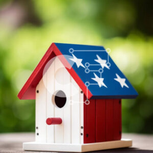 Intra Συλλεκτικό Ξύλινο Παζλ Plywood  4mm - Patriotic Birdhouse με αστέρια και ρίγες σε εξωτερικό περιβάλλον Σε Ξύλινο Κουτί - Διαστάσεις: 10x10 cm – 25 κομμάτια