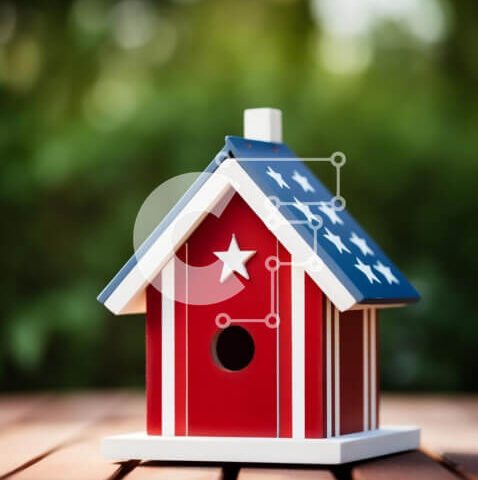 Intra Συλλεκτικό Ξύλινο Παζλ Plywood 4mm - Αμερικανική σημαία Birdhouse σε ξύλινο τραπέζι Σε Ξύλινο Κουτί - Διαστάσεις: 10x10 cm – 25 κομμάτια - Image 1