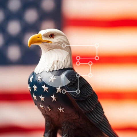 Intra Συλλεκτικό Ξύλινο Παζλ Plywood  4mm - Ειδώλιο Πατριωτικού Αετού στις 4 Ιουλίου Σε Ξύλινο Κουτί - Διαστάσεις: 10x10 cm – 25 κομμάτια - Image 1