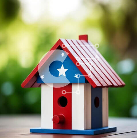 Intra Συλλεκτικό Ξύλινο Παζλ Plywood  4mm - Διακοσμητικό κόκκινο, λευκό και μπλε σπίτι πουλιών σε ξύλινο τραπέζι Σε Ξύλινο Κουτί - Διαστάσεις: 10x10 cm – 25 κομμάτια - Image 1