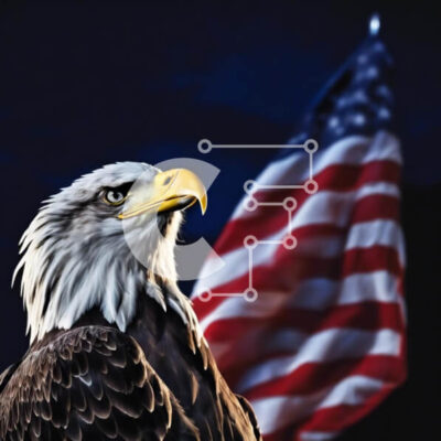 Intra Συλλεκτικό Ξύλινο Παζλ Plywood  4mm - Φαλακρός αετός με φόντο αμερικανική σημαία Σε Ξύλινο Κουτί - Διαστάσεις: 10x10 cm – 25 κομμάτια - Image 1