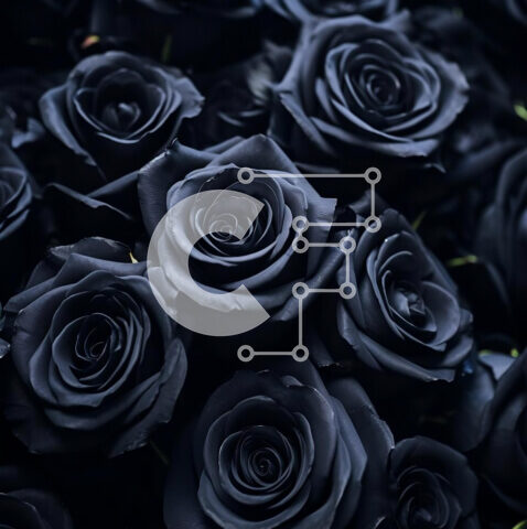 Intra Συλλεκτικό Ξύλινο Παζλ Plywood  4mm - Κομψή και ρομαντική σύνθεση μαύρα τριαντάφυλλα Σε Ξύλινο Κουτί - Διαστάσεις Puzzle: 10x10 cm – 25 κομμάτια - Image 1