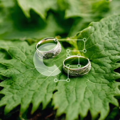 Intra Συλλεκτικό Ξύλινο Παζλ Plywood  4mm - Κομψές ασημένιες βέρες σε πράσινο φύλλο Σε Ξύλινο Κουτί - Διαστάσεις: 10x10 cm – 25 κομμάτια - Image 1