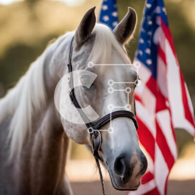 Intra Συλλεκτικό Ξύλινο Παζλ Plywood  4mm - Λευκό Άλογο μπροστά από την αμερικανική σημαία Σε Ξύλινο Κουτί - Διαστάσεις: 10x10 cm – 25 κομμάτια - Image 1