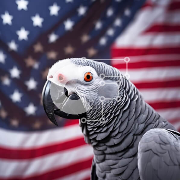 2f8WfpHSedN7qVBVUwv0nq4HDKG-desktop