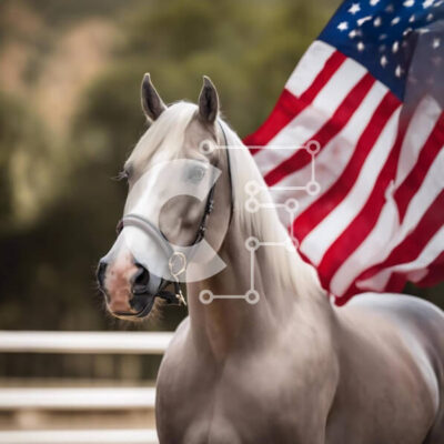 Intra Συλλεκτικό Ξύλινο Παζλ Plywood  4mm - Λευκό άλογο με την αμερικανική σημαία στο στόμα Σε Ξύλινο Κουτί - Διαστάσεις: 10x10 cm – 25 κομμάτια - Image 1