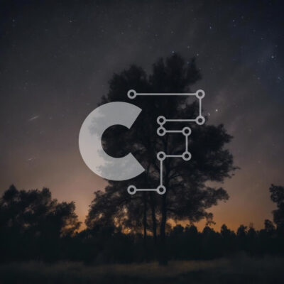 Intra Συλλεκτικό Ξύλινο Παζλ Plywood  4mm - Σιλουέτα δέντρου ενάντια στον έναστρο νυχτερινό ουρανό Σε Ξύλινο Κουτί - Διαστάσεις: 10x10 cm – 25 κομμάτια - Image 1