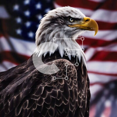 Intra Συλλεκτικό Ξύλινο Παζλ Plywood  4mm - Φαλακρός αετός και αμερικανική σημαία που αντιπροσωπεύουν τον πατριωτισμό και τη δύναμη Σε Ξύλινο Κουτί - Διαστάσεις: 10x10 cm – 25 κομμάτια - Image 1