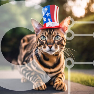 Intra Συλλεκτικό Ξύλινο Παζλ Plywood  4mm - Γάτα της Βεγγάλης με καπέλο αμερικανικής σημαίας Σε Ξύλινο Κουτί - Διαστάσεις: 10x10 cm – 25 κομμάτια - Image 1