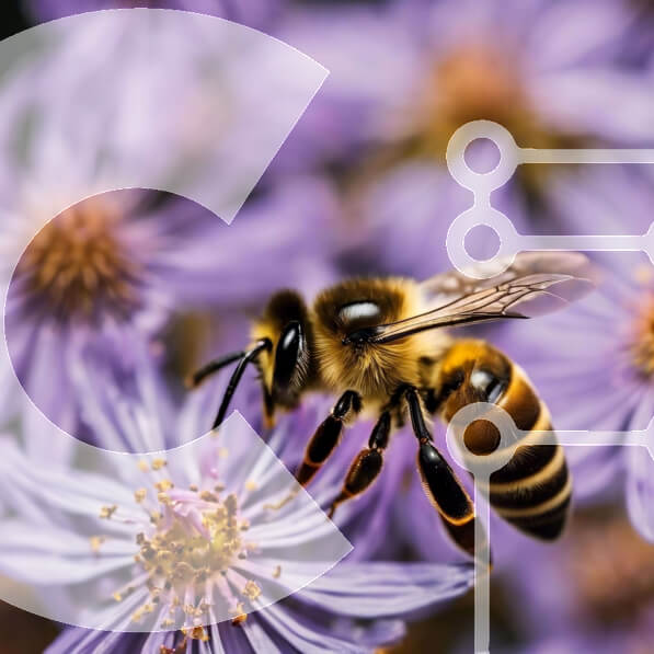 2fVWCO149ofjsYcjwjtpSHP7IEa-desktop