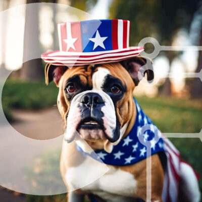 Intra Συλλεκτικό Ξύλινο Παζλ Plywood  4mm - Καφέ και λευκό σκυλί μπόξερ με καπέλο αμερικανικής σημαίας Σε Ξύλινο Κουτί - Διαστάσεις: 10x10 cm – 25 κομμάτια - Image 1