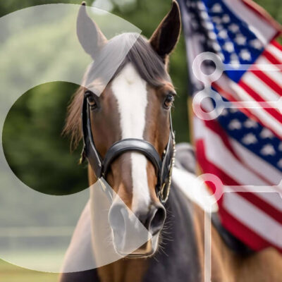 Intra Συλλεκτικό Ξύλινο Παζλ Plywood  4mm - Καφέ και άσπρο άλογο μπροστά από την αμερικανική σημαία Σε Ξύλινο Κουτί - Διαστάσεις: 10x10 cm – 25 κομμάτια - Image 1