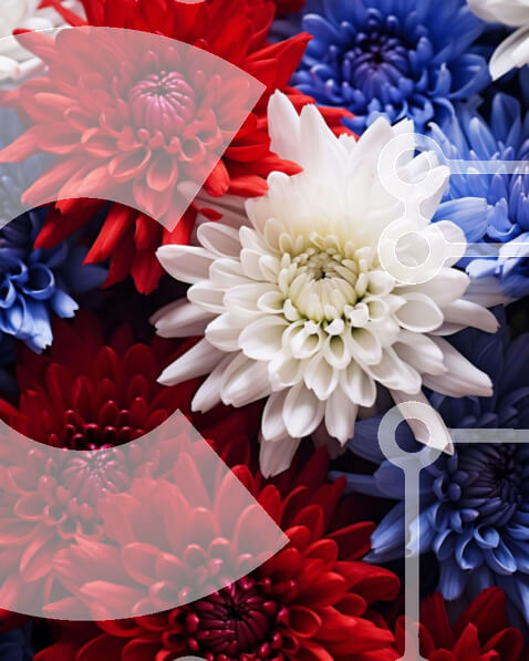 Intra Συλλεκτικό Ξύλινο Παζλ Plywood  4mm - Κοντινό πλάνο με κόκκινα, λευκά και μπλε λουλούδια για τον εορτασμό της 4ης Ιουλίου Σε Ξύλινο Κουτί - Διαστάσεις: 10x10 cm – 25 κομμάτια