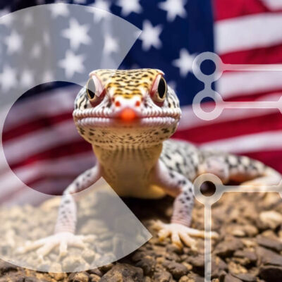 Intra Συλλεκτικό Ξύλινο Παζλ Plywood  4mm - Γκέκο μπροστά από την αμερικανική σημαία Σε Ξύλινο Κουτί - Διαστάσεις: 10x10 cm – 25 κομμάτια - Image 1