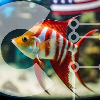 Intra Συλλεκτικό Ξύλινο Παζλ Plywood 4mm - Ζωντανά κόκκινα και άσπρα ψάρια στο ενυδρείο με φόντο αμερικανικής σημαίας Σε Ξύλινο Κουτί - Διαστάσεις: 10x10 cm – 25 κομμάτια - Image 1