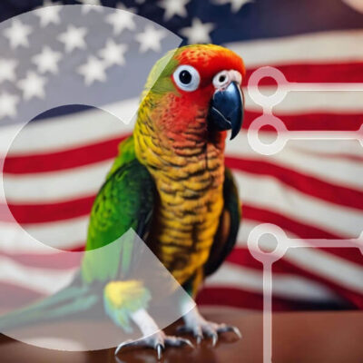 Intra Συλλεκτικό Ξύλινο Παζλ Plywood  4mm - Πολύχρωμος παπαγάλος που κάθεται μπροστά από την αμερικανική σημαία Σε Ξύλινο Κουτί - Διαστάσεις: 10x10 cm – 25 κομμάτια - Image 1