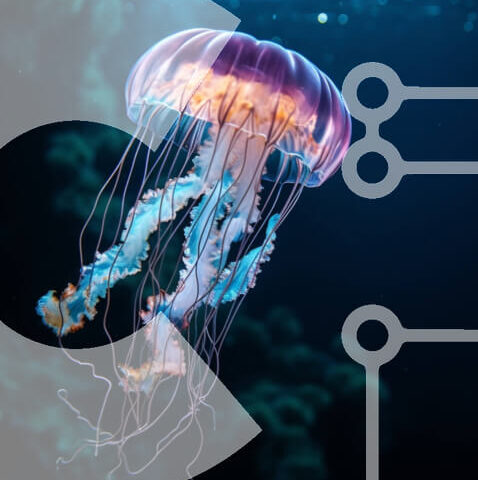 Intra Συλλεκτικό Ξύλινο Παζλ Plywood  4mm - Μέδουσες στο νερό με ορατά πλοκάμια Σε Ξύλινο Κουτί - Διαστάσεις: 10x10 cm – 25 κομμάτια - Image 1