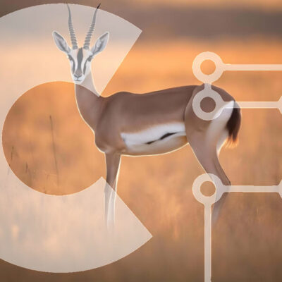 Intra Συλλεκτικό Ξύλινο Παζλ Plywood  4mm - Gazelle στο Grassy Field στο ηλιοβασίλεμα Σε Ξύλινο Κουτί - Διαστάσεις: 10x10 cm – 25 κομμάτια - Image 1