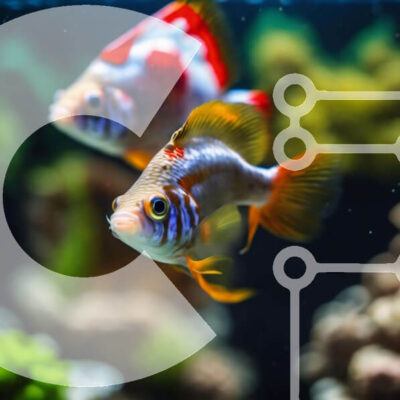 Intra Συλλεκτικό Ξύλινο Παζλ Plywood  4mm - Ζωντανό χρυσόψαρο που κολυμπά στο ενυδρείο με κοράλλια και υδρόβια φυτά Σε Ξύλινο Κουτί - Διαστάσεις: 10x10 cm – 25 κομμάτια - Image 1