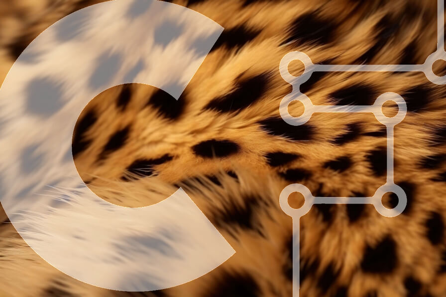 Intra Συλλεκτικό Ξύλινο Παζλ Plywood  4mm - Κοντινό πλάνο του μοτίβου και της υφής της γούνας του Cheetah Σε Ξύλινο Κουτί - Διαστάσεις: 10x10 cm – 25 κομμάτια