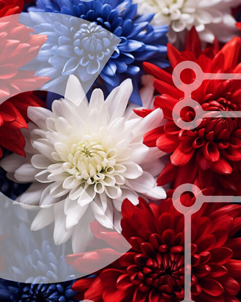 Intra Συλλεκτικό Ξύλινο Παζλ Plywood  4mm - Κόκκινα, λευκά και μπλε λουλούδια για τις 4 Ιουλίου ή άλλες γιορτές Σε Ξύλινο Κουτί - Διαστάσεις: 10x10 cm – 25 κομμάτια