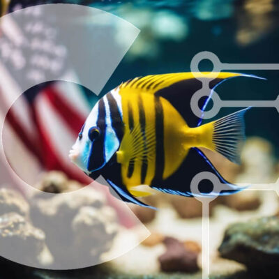 Intra Συλλεκτικό Ξύλινο Παζλ Plywood  4mm - Πολύχρωμα ψάρια στο ενυδρείο με φόντο αμερικανική σημαία Σε Ξύλινο Κουτί - Διαστάσεις: 10x10 cm – 25 κομμάτια - Image 1