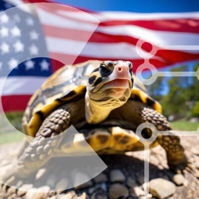 Intra Συλλεκτικό Ξύλινο Παζλ Plywood  4mm - Περίεργη χελώνα μπροστά από την αμερικανική σημαία Σε Ξύλινο Κουτί - Διαστάσεις: 10x10 cm – 25 κομμάτια - Image 1