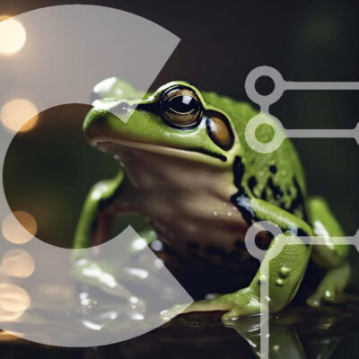 Intra Συλλεκτικό Ξύλινο Παζλ Plywood 4mm - Πράσινος βάτραχος που κάθεται στο νερό κοιτάζοντας την κάμερα Σε Ξύλινο Κουτί - Διαστάσεις: 10x10 cm – 25 κομμάτια - Image 1