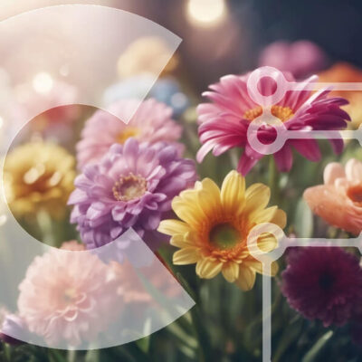 Intra Συλλεκτικό Ξύλινο Παζλ Plywood  4mm - Πολύχρωμο μπουκέτο ζέρμπερα μαργαρίτες Σε Ξύλινο Κουτί - Διαστάσεις: 10x10 cm – 25 κομμάτια - Image 1