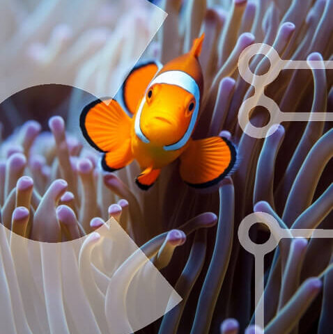 Intra Συλλεκτικό Ξύλινο Παζλ Plywood  4mm - Ζωντανό ψάρι κλόουν στον πολύχρωμο κοραλλιογενή ύφαλο Σε Ξύλινο Κουτί - Διαστάσεις: 10x10 cm – 25 κομμάτια - Image 1