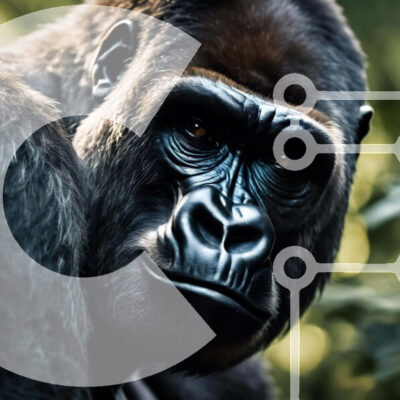 Intra Συλλεκτικό Ξύλινο Παζλ Plywood  4mm - Κοντινό πλάνο ενός γορίλα που κοιτάζει επίμονα την κάμερα Σε Ξύλινο Κουτί - Διαστάσεις: 10x10 cm – 25 κομμάτια - Image 1