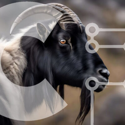 Intra Συλλεκτικό Ξύλινο Παζλ Plywood  4mm - Ασπρόμαυρη κατσίκα με μακριά κέρατα και βράχους στο βάθος Σε Ξύλινο Κουτί - Διαστάσεις: 10x10 cm – 25 κομμάτια - Image 1