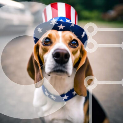 Intra Συλλεκτικό Ξύλινο Παζλ Plywood  4mm - Patriotic Beagle στη μέση του δρόμου Σε Ξύλινο Κουτί - Διαστάσεις: 10x10 cm – 25 κομμάτια - Image 1